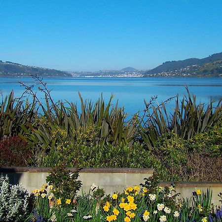 Arts Content Harbour View Apartment Macandrew Bay Bagian luar foto