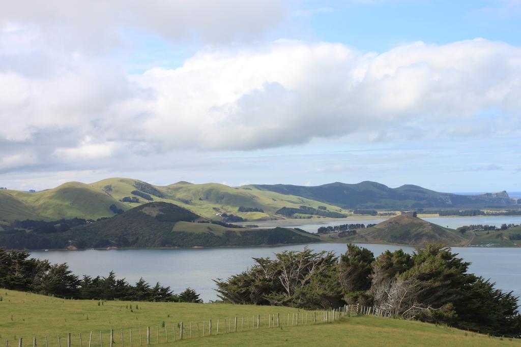 Arts Content Harbour View Apartment Macandrew Bay Bagian luar foto