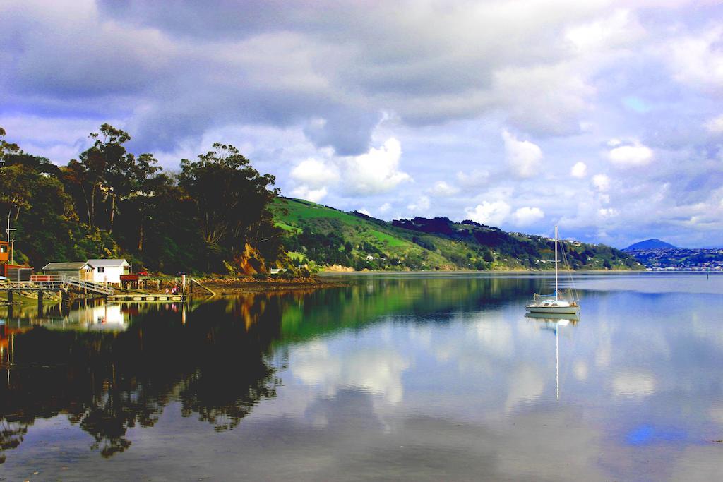 Arts Content Harbour View Apartment Macandrew Bay Bagian luar foto