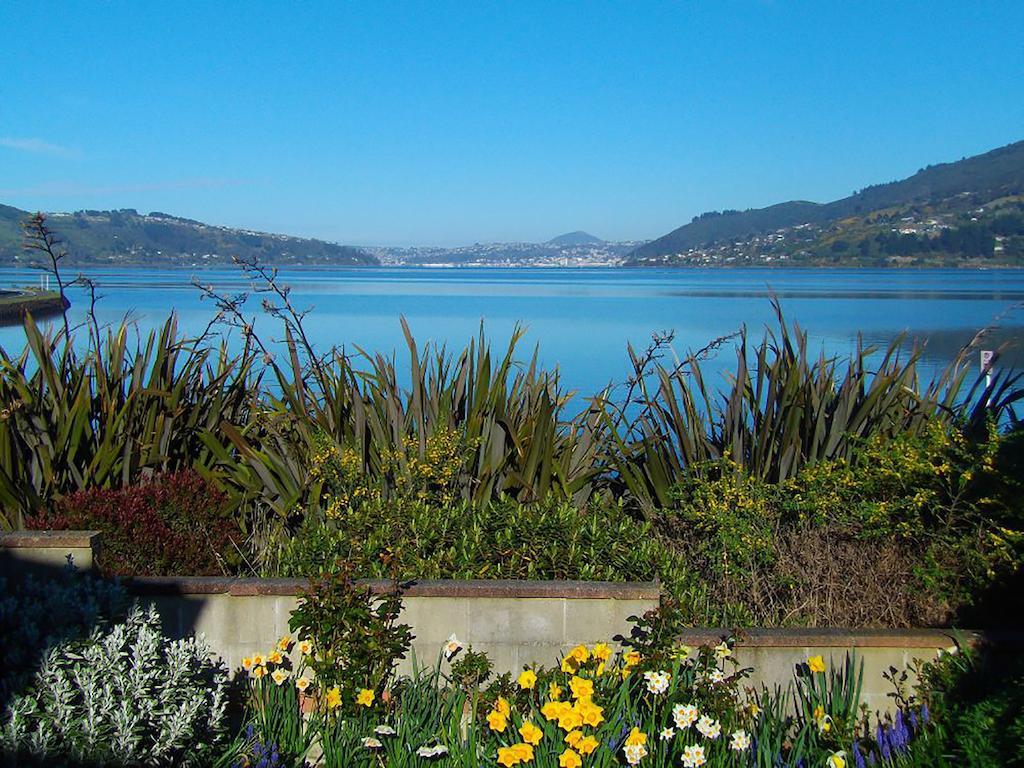 Arts Content Harbour View Apartment Macandrew Bay Bagian luar foto