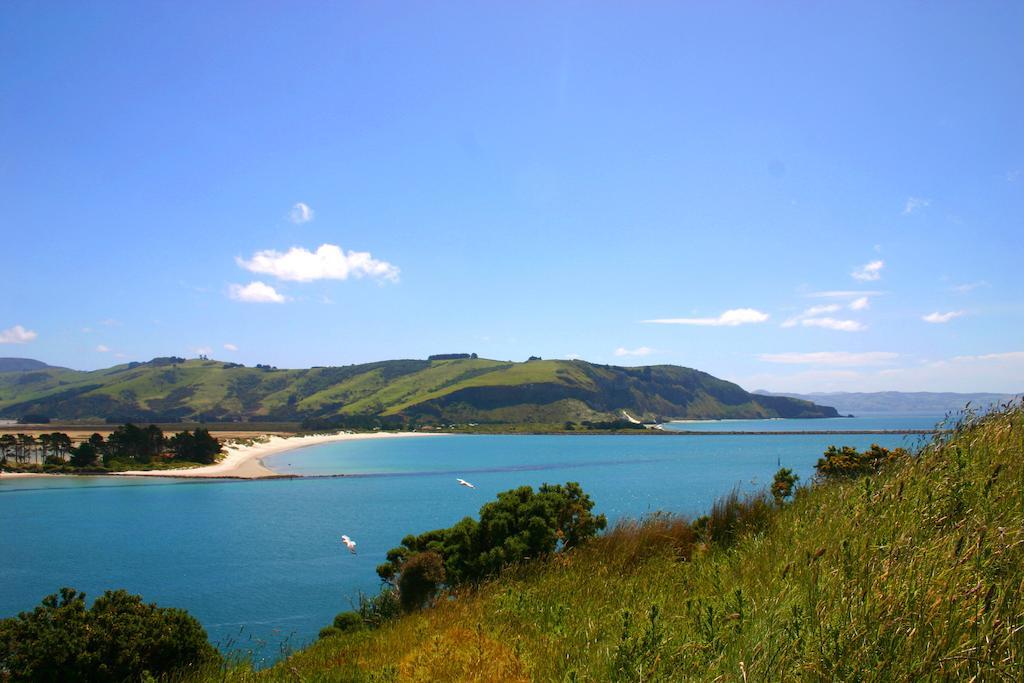 Arts Content Harbour View Apartment Macandrew Bay Bagian luar foto