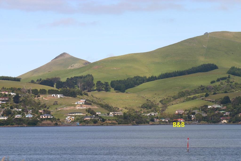 Arts Content Harbour View Apartment Macandrew Bay Bagian luar foto