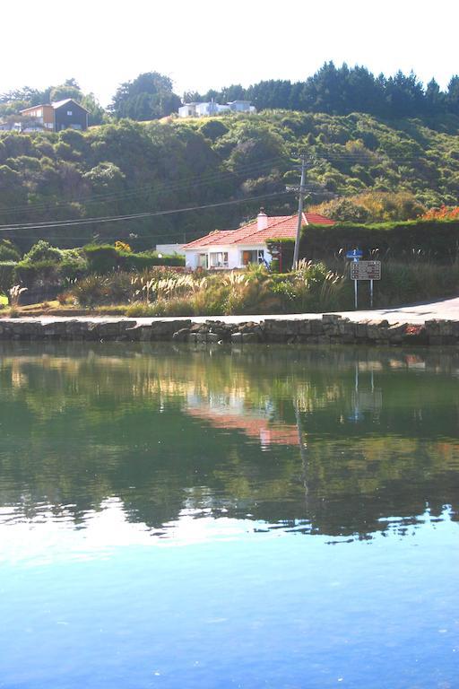 Arts Content Harbour View Apartment Macandrew Bay Bagian luar foto