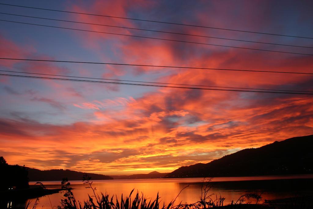Arts Content Harbour View Apartment Macandrew Bay Bagian luar foto