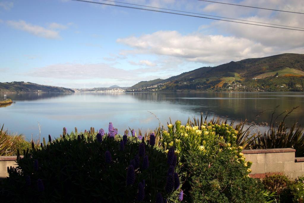Arts Content Harbour View Apartment Macandrew Bay Bagian luar foto